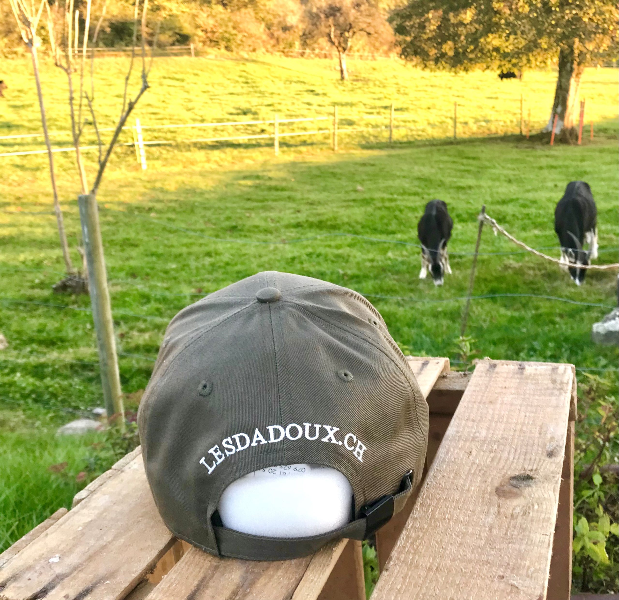 Casquette.arrière