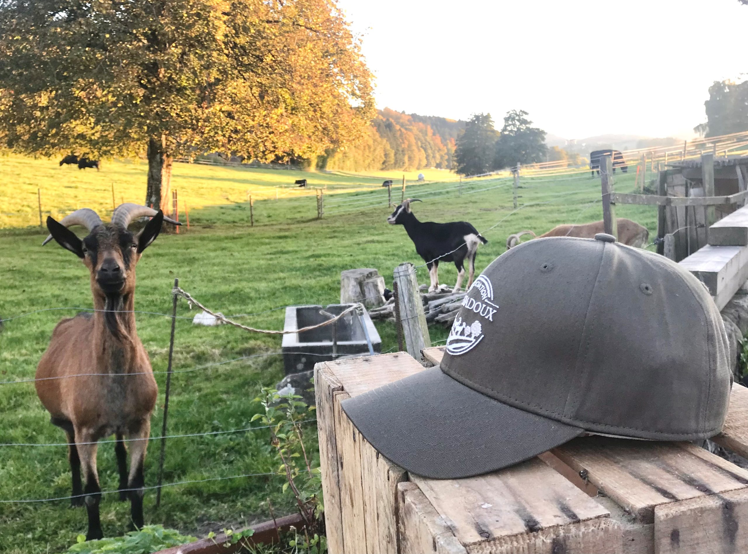Casquette.profil